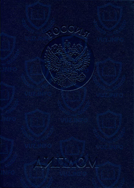 Диплом иностранного гражданина иностранца степени Бакалавра (внешний вид)